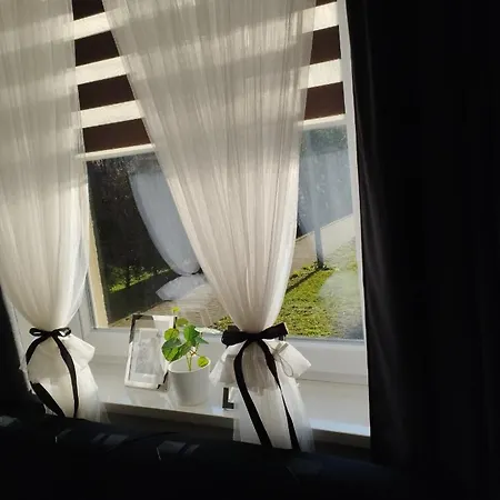 Magvel * Stettin