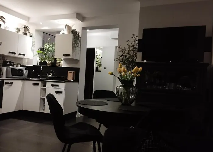 Magvel シュチェチン